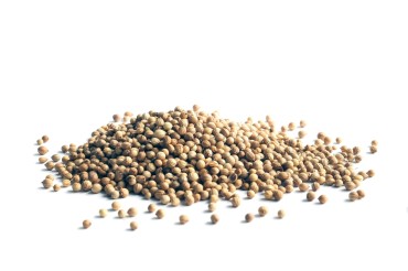 Coriander Seeds