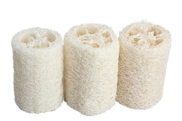 Luffa (premium, 5t, 20 F)